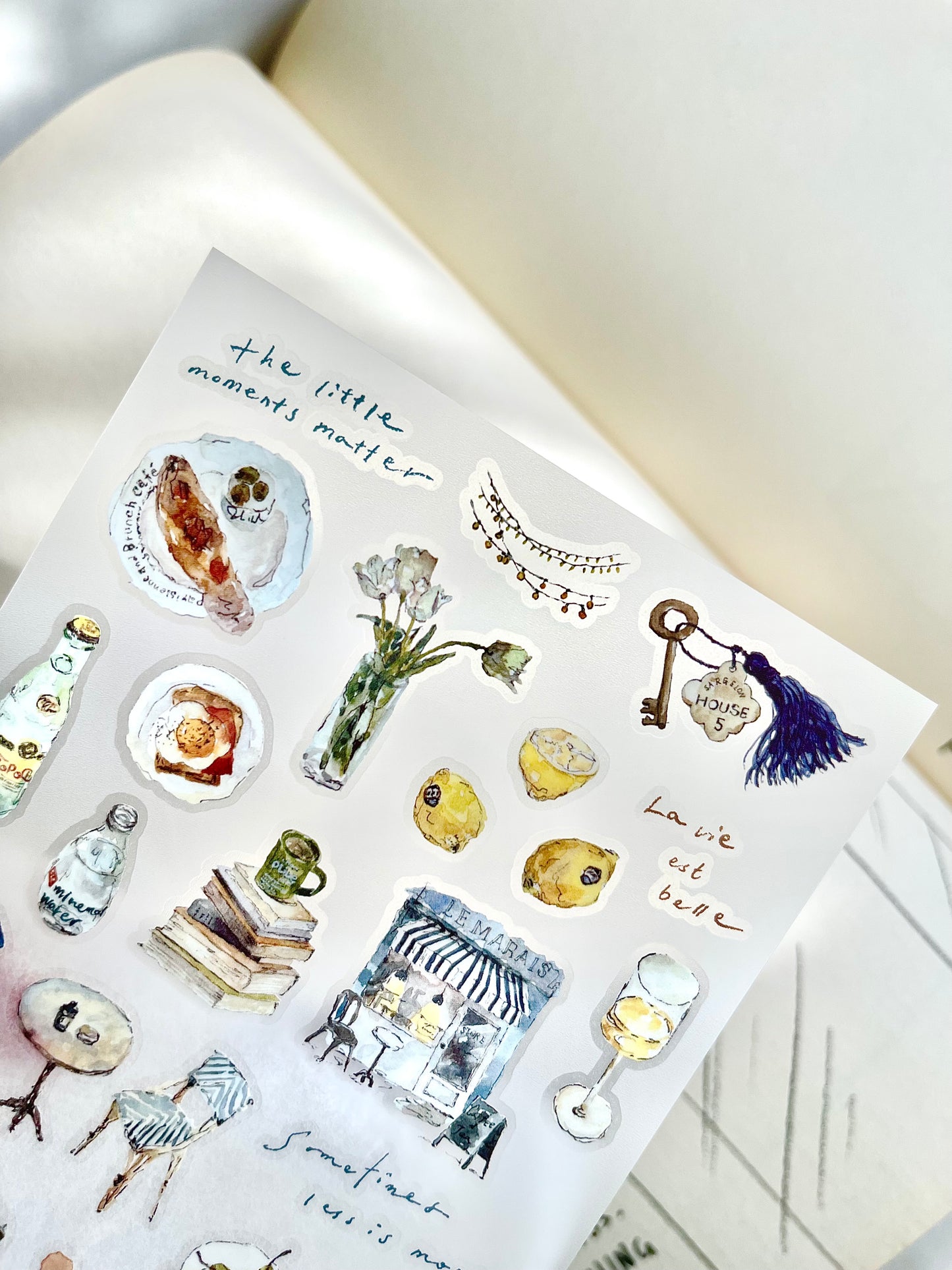 Pion Transfer Sticker Sheet - Chill Vol. 2