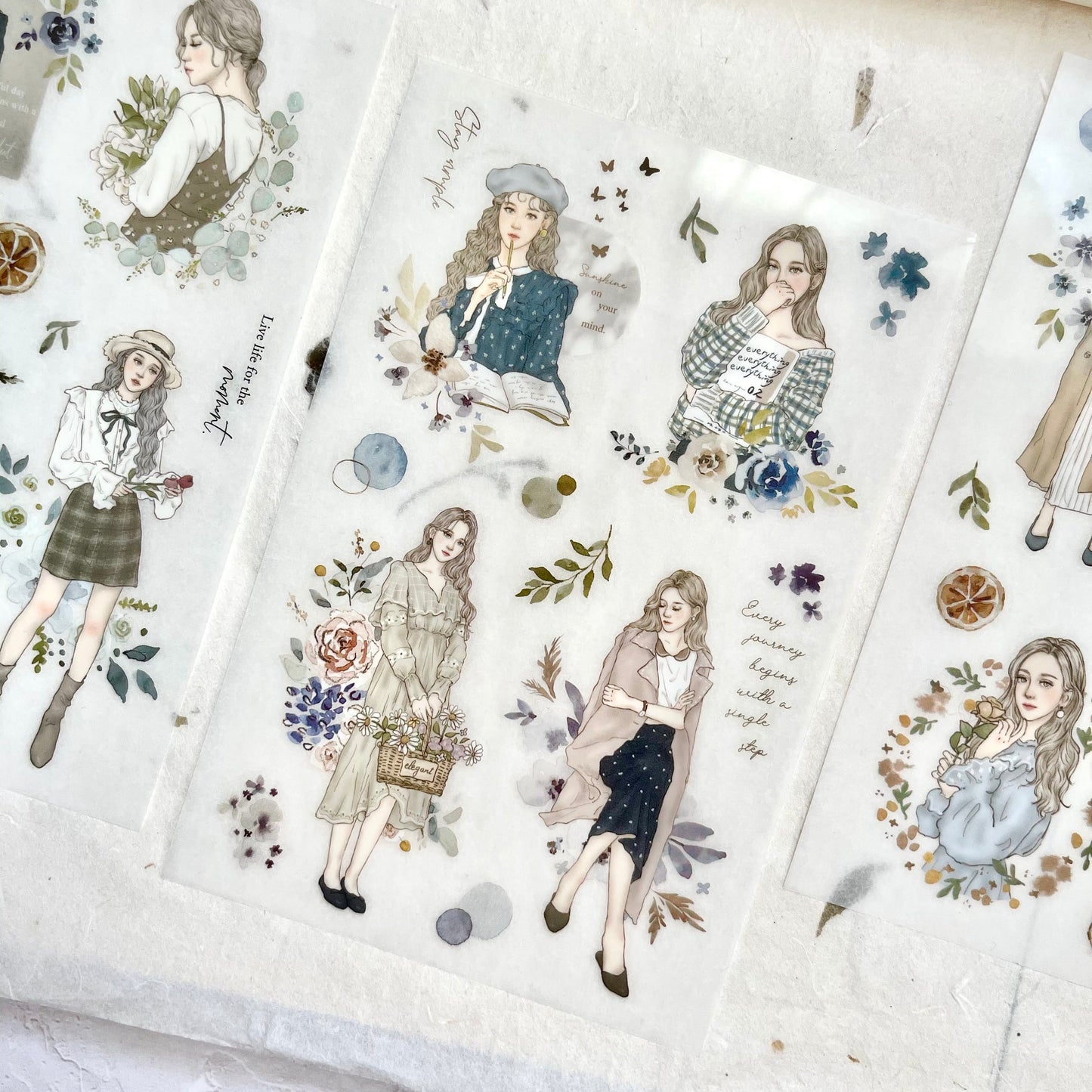 Pion Transfer Sticker Sheet - Elegant