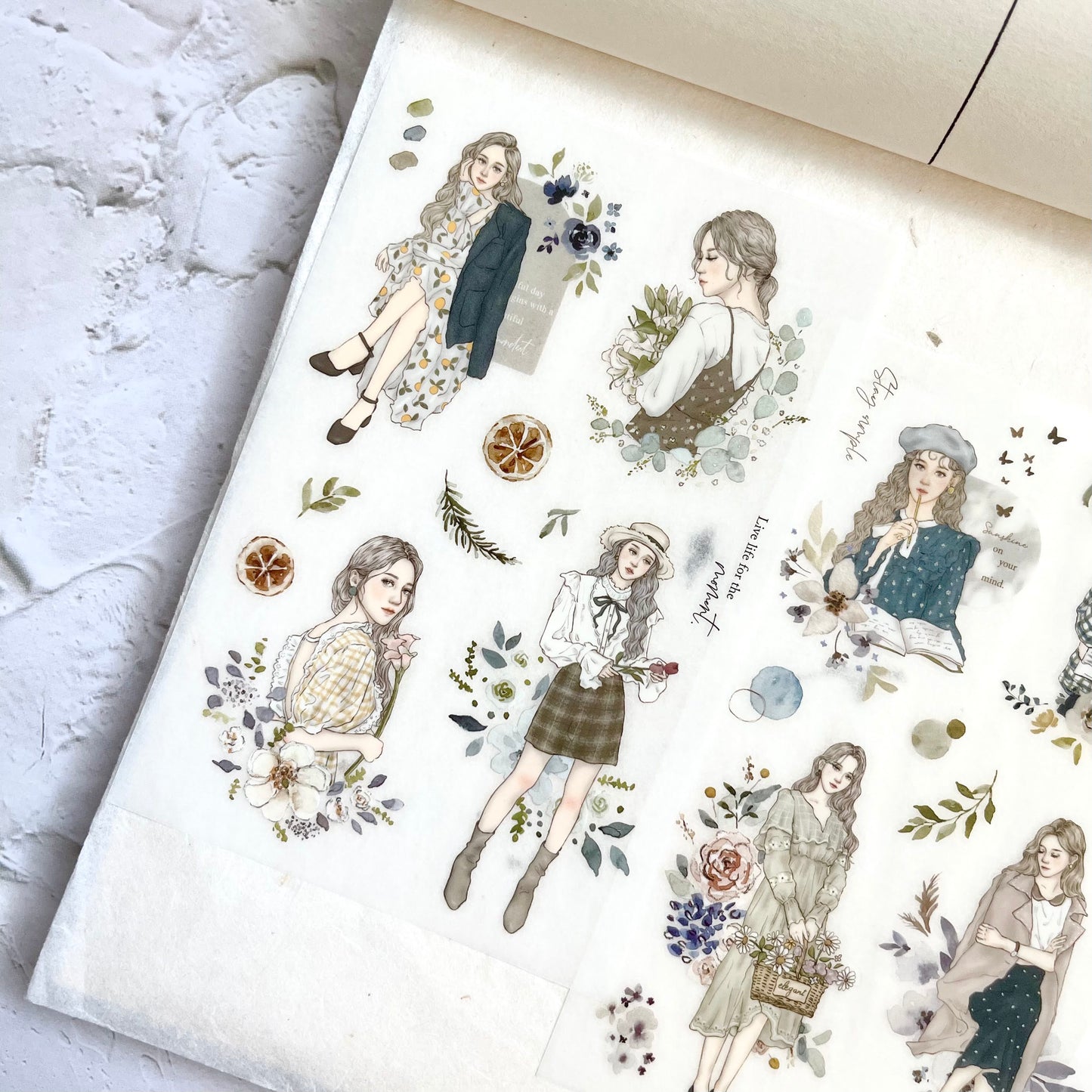 Pion Transfer Sticker Sheet - Elegant