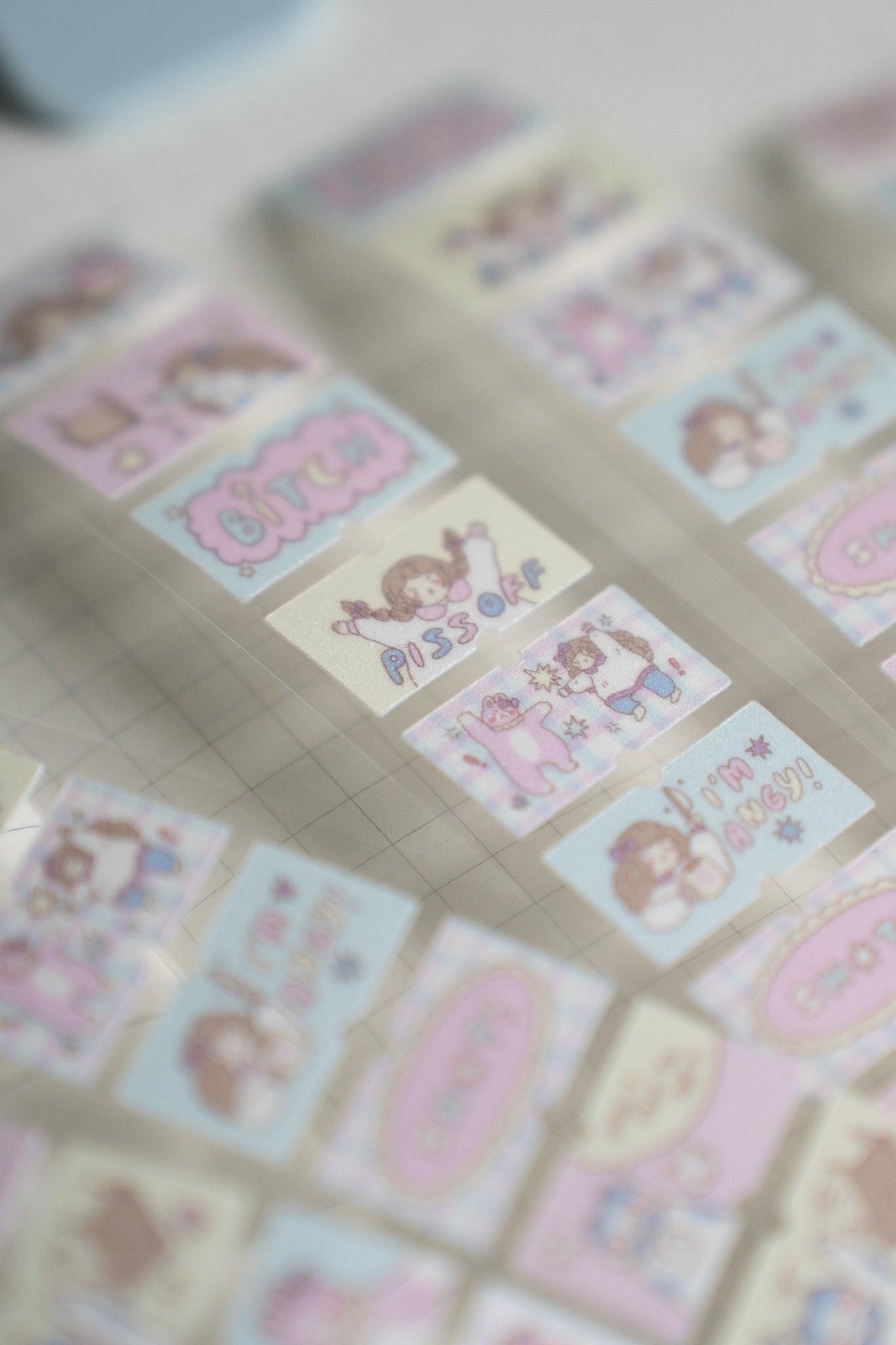 Sho Little Happiness x Artsy Jadey Label Stickers - Angry Besties