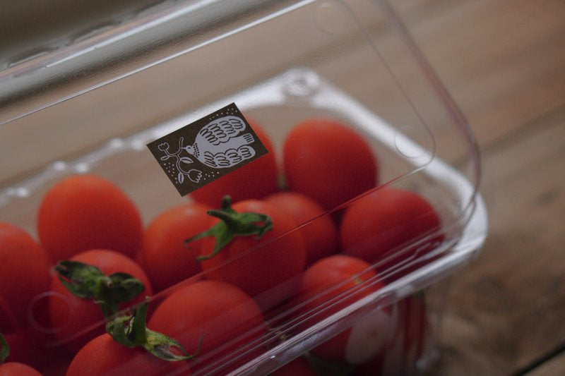 Ivy Snow Label Stickers - Umber