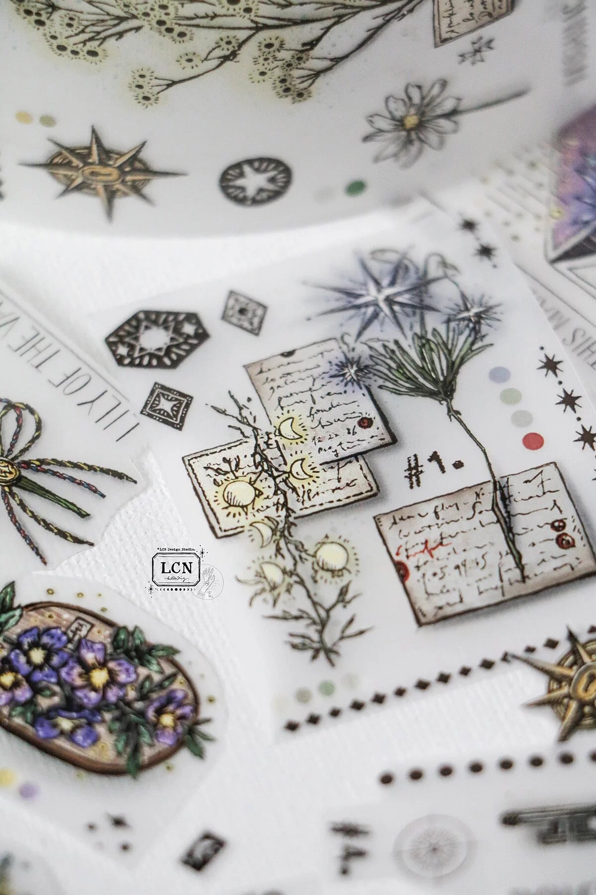 LCN Design Studio PET Tape - Daily Collect
