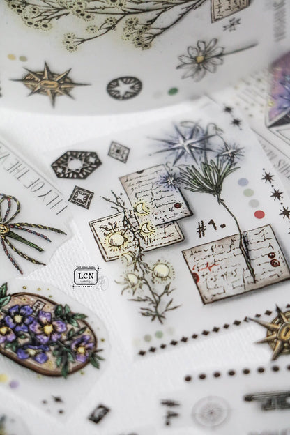 LCN Design Studio PET Tape - Daily Collect
