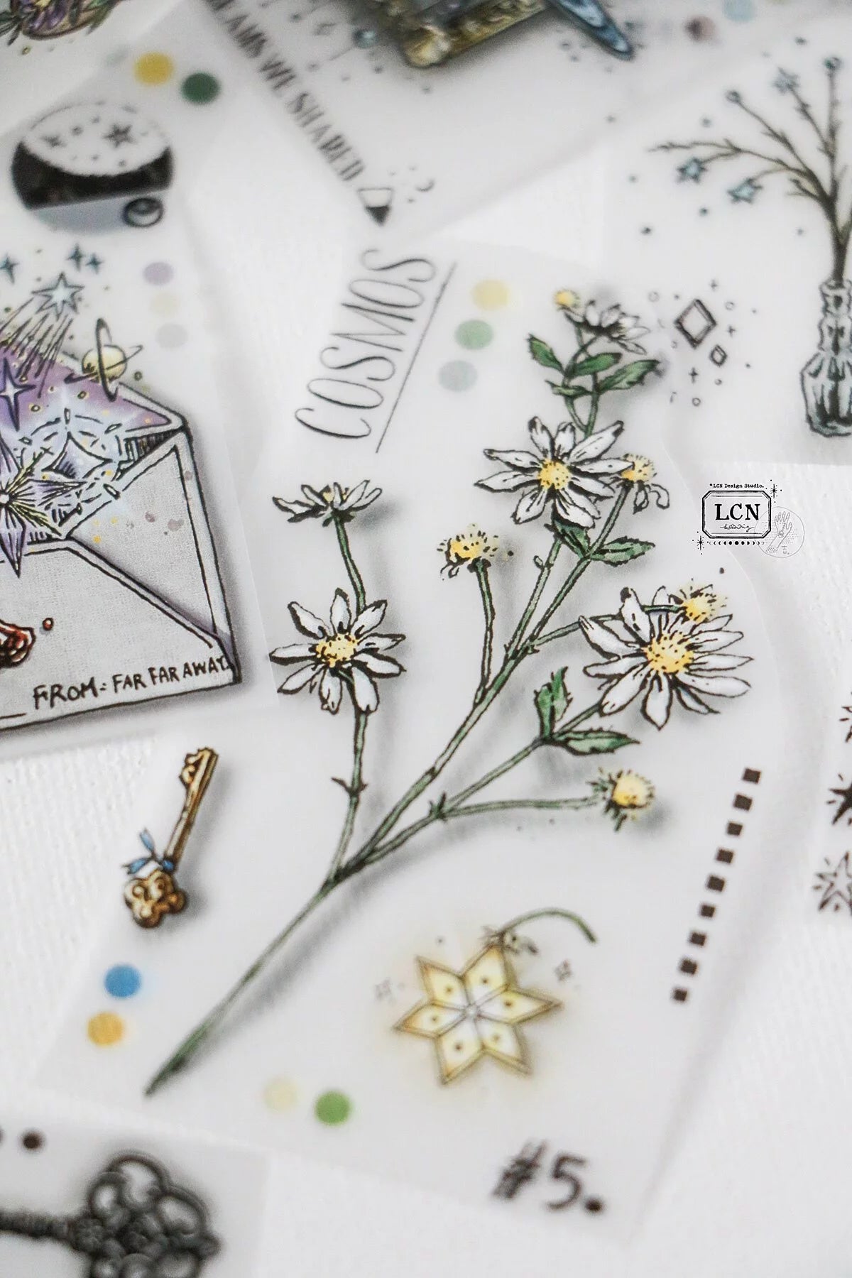 LCN Design Studio PET Tape - Daily Collect