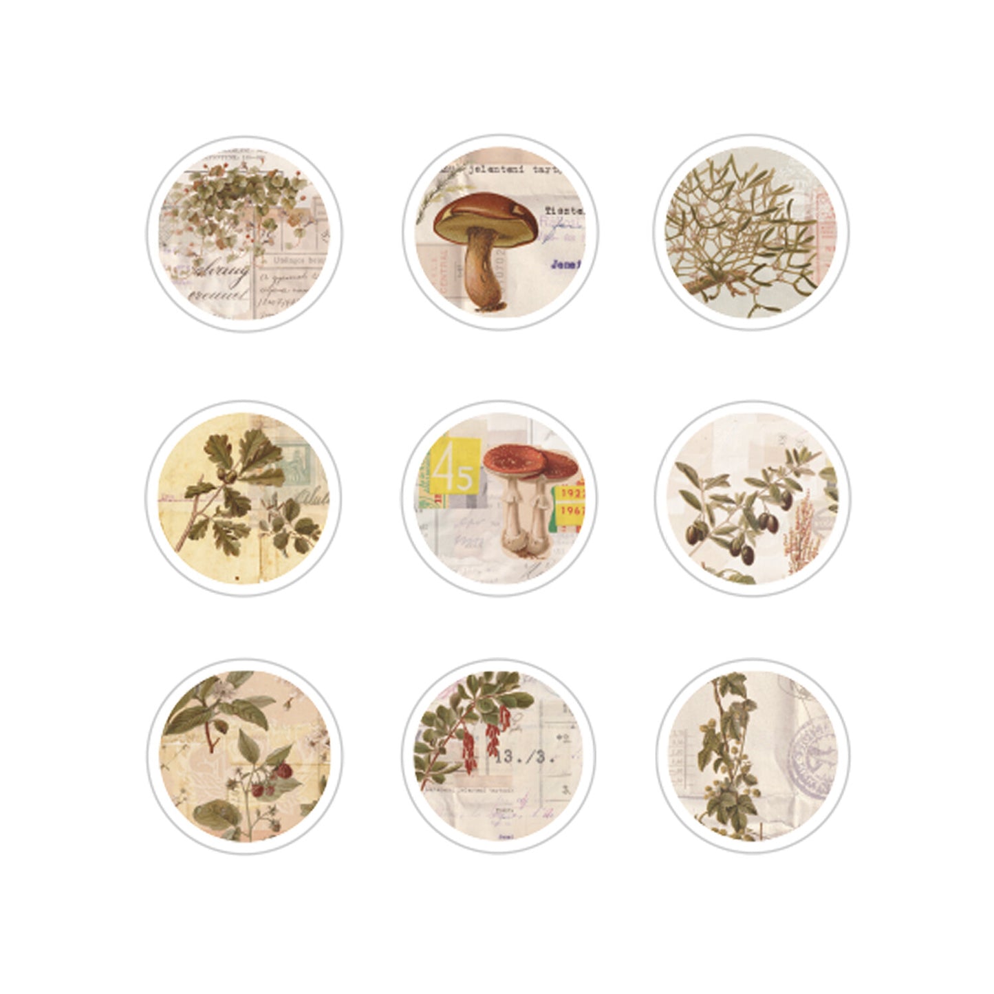 BGM Flake Stickers Sunny Sunday - Circle