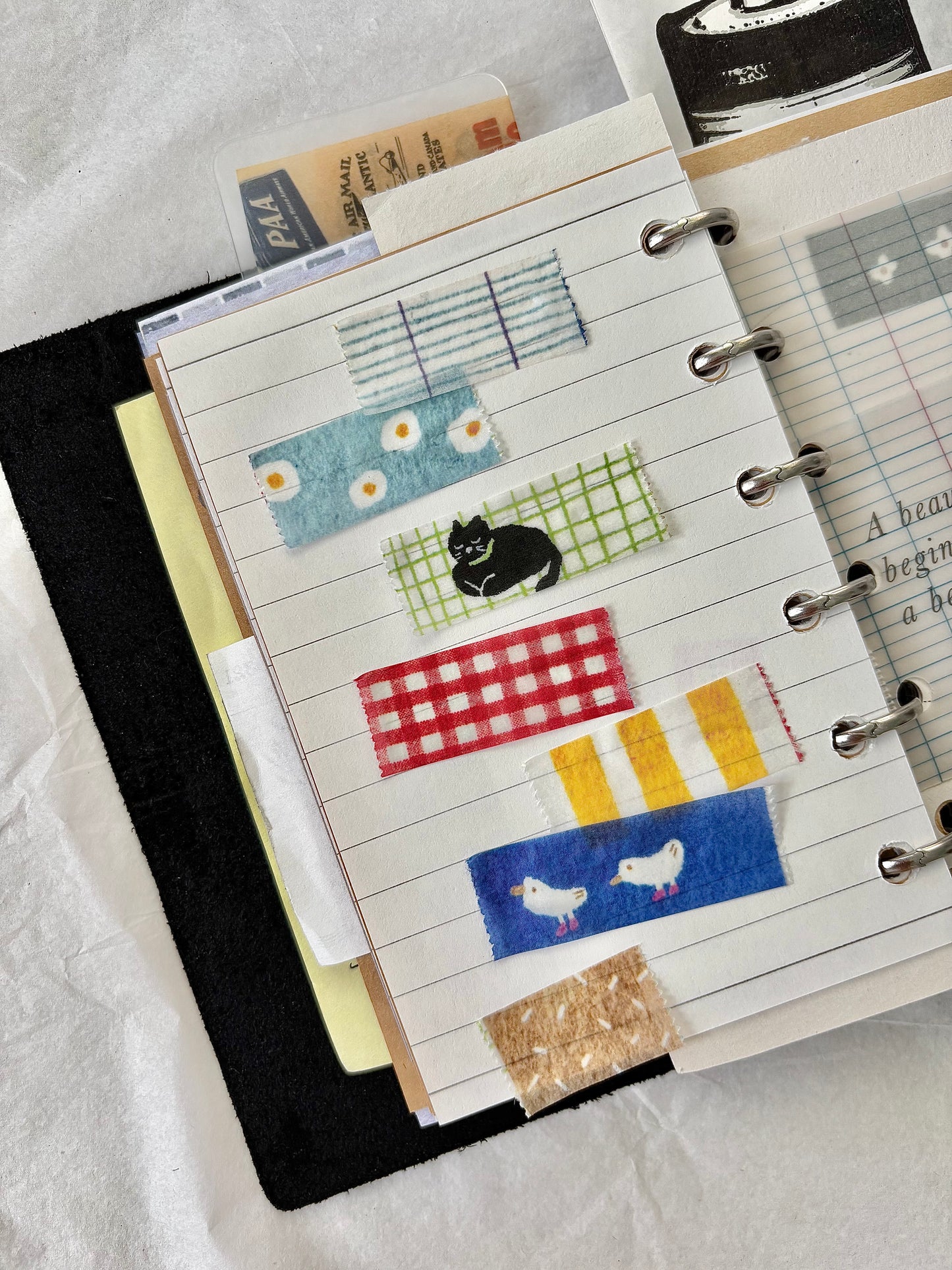 Pion Washi Tape - Cat On The Run (2 Designs)